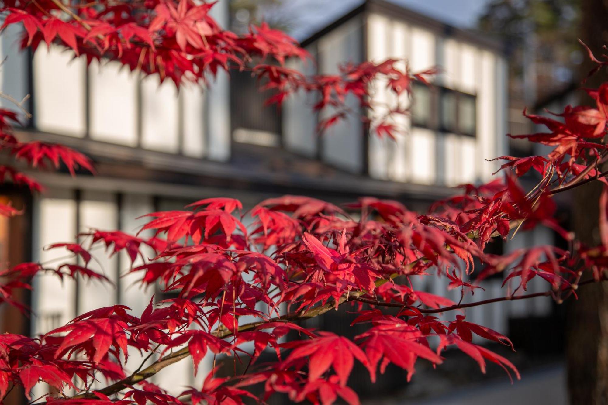 Glamping Villa Hanz Kawaguchiko Fujikawaguchiko Quarto foto